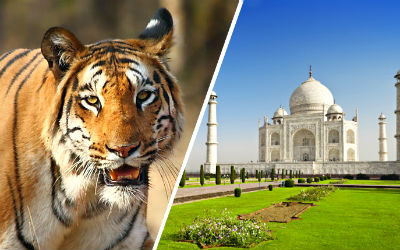 Rajasthan Wildlife Tour with Agra