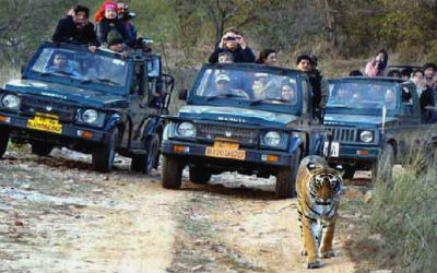 Ranthambore Photography Tour