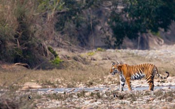 Kanha National Park