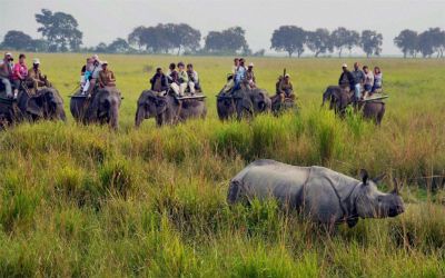 Wildlife Tour of East India