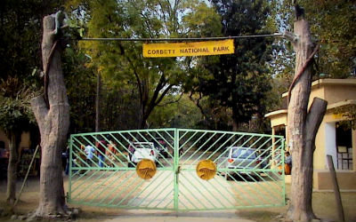 Jim Corbett National Park Information