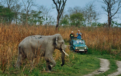 Jim Corbett Tour Package