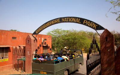 New Safari Booking System in Ranthambore