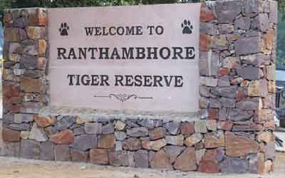 Ranthambore National Park Travel Guide