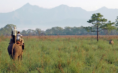 Bardia National Park Tour