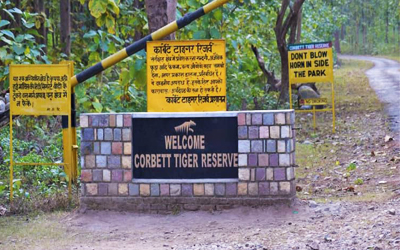 Corbett Tiger Reserve Jeep & Canter Safari Booking Schedule