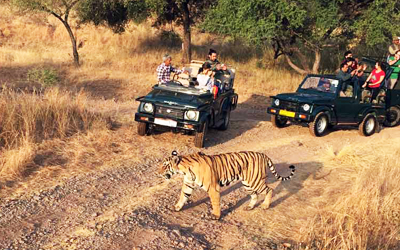 Jim Corbett National Park Safari Timings