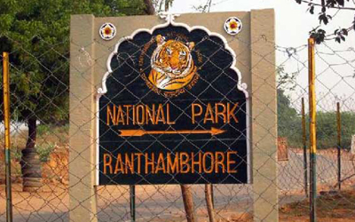 Current Safaris Quota in Ranthambore