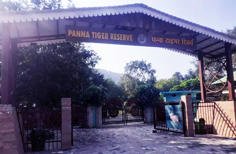 Panna Tiger Reserve