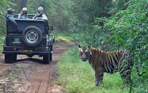 Manas Nameri Kaziranga Tour