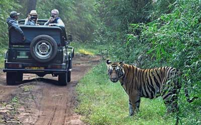 Manas Nameri Kaziranga Tour