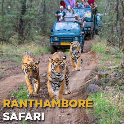 Ranthambore