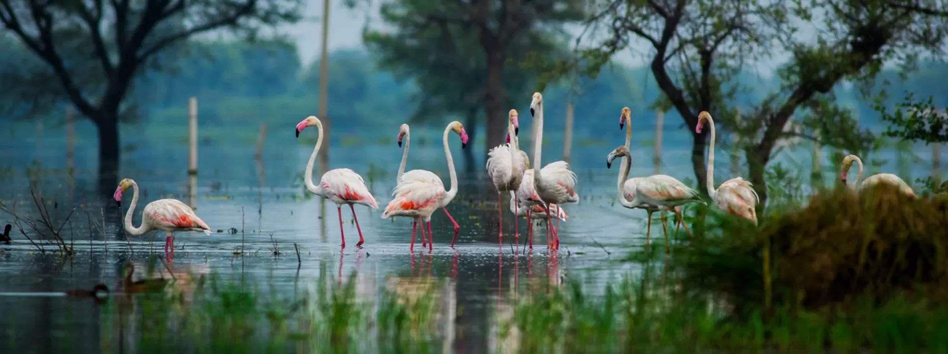 Bird Watching & <br/>Photography Tours