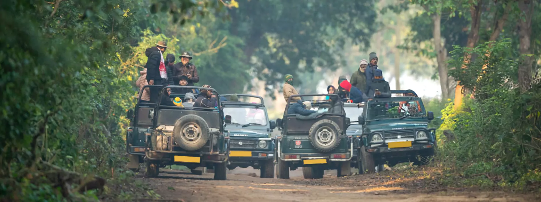 Wildlife Tours & <br/>Tiger Safari in India