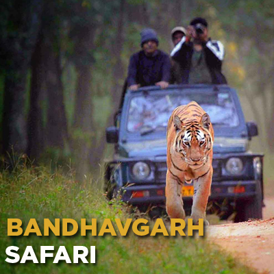 Bandhavgarh