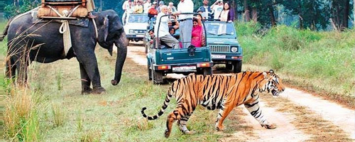 2 Pax Private Jeep Safari