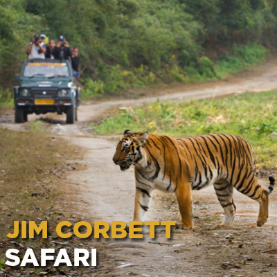 Jim Corbett