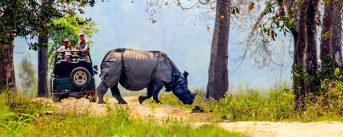 2 Pax Private Jeep Safari