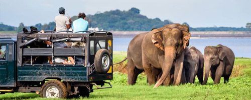 4 Pax Package in Sharing Jeep