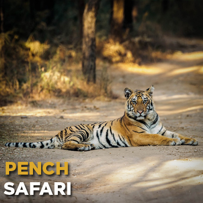 Pench