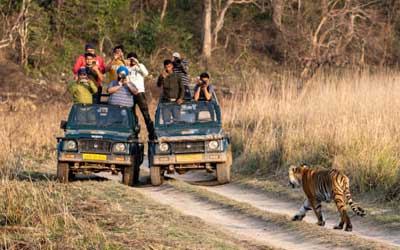 The Priority of Zones in Jim Corbett National Park