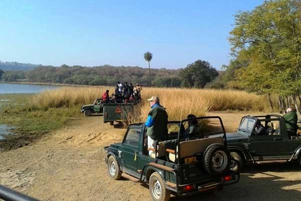 chambal safari agra