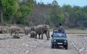Delhi Jaipur Ranthambore Corbett Rajaji Tour