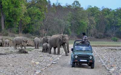 Delhi Jaipur Ranthambore Corbett Rajaji Tour