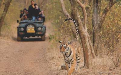 Delhi Sariska Same Day Tour