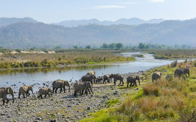 Delhi To Jim Corbett tour Package