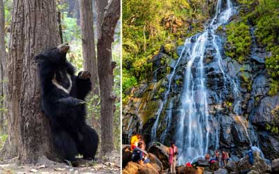 Jabalpur Kanha Satpura Pachmarhi Sanchi Tour