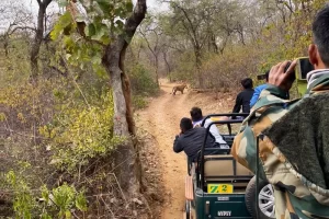 Delhi to Ranthambore and Central India Tiger Circuit – Fixed Departure Tour