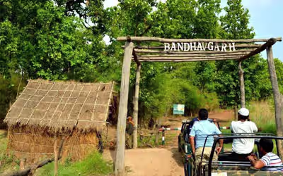 Best Time and Zones for Bandhavgarh National Park Safari
