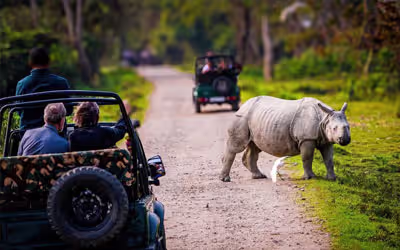 Golden Triangle Tour with Assam Wildlife