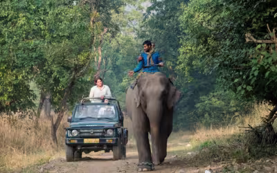 Rajaji National Park Tour from Delhi