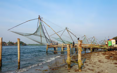 Kochi to Periyar Munnar Tour
