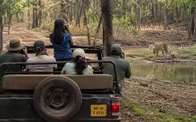 14 Days India Wildlife Photography Tour