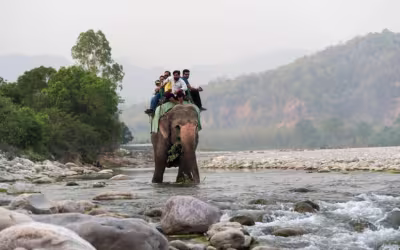 Golden Triangle Tour with Jim Corbett & Ranthambore 