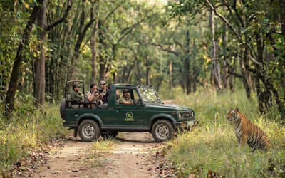 Satpura & Kanha Wildlife Tour from Jabalpur