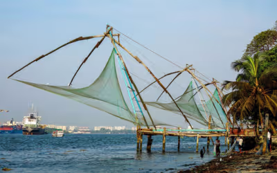 Thekkady Tour from Kochi