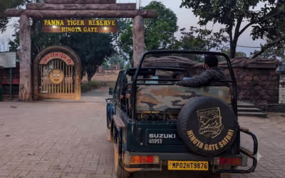 Golden Triangle Tour with Bandhavgarh & Panna National Park
