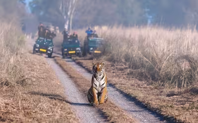 Delhi Agra Jim Corbett Tour